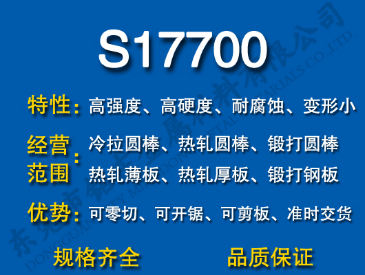 S17700P