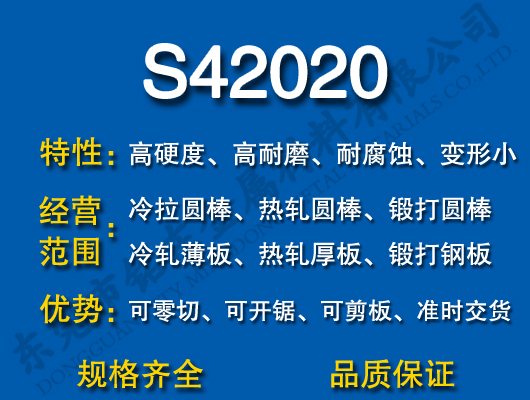 S42020P