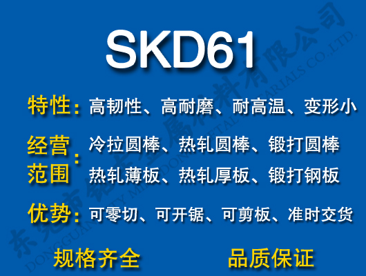 SKD61ģ