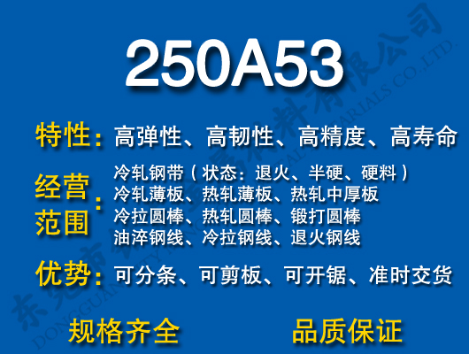 250A53
