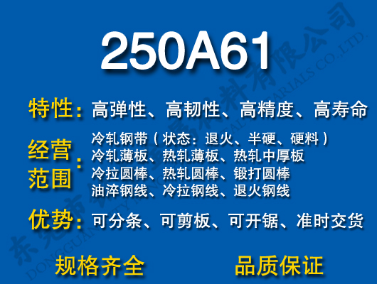 250A61