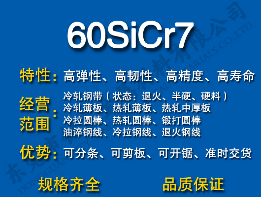 60SiCr7