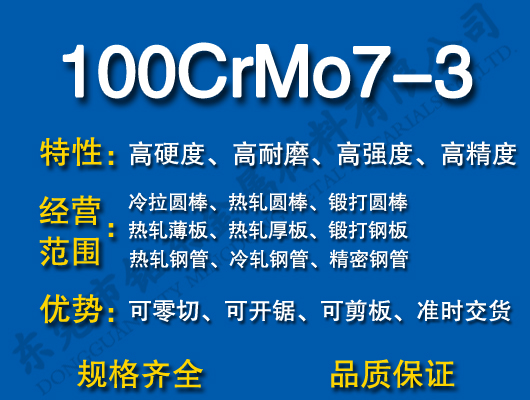 100CrMo7-3S