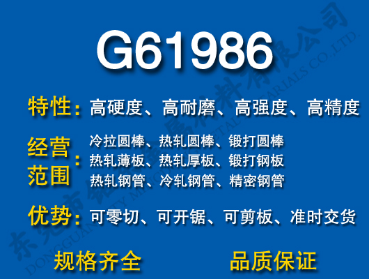 G61986S